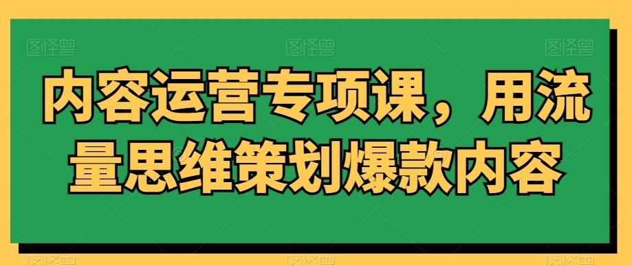 内容运营专项课，用流量思维策划爆款内容-E网资源