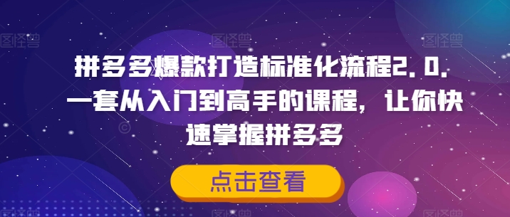 拼多多爆款打造标准化流程2.0，一套从入门到高手的课程，让你快速掌握拼多多-E网资源