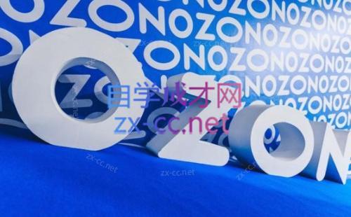 森哥·出海俄罗斯电商实操(2024)-E网资源