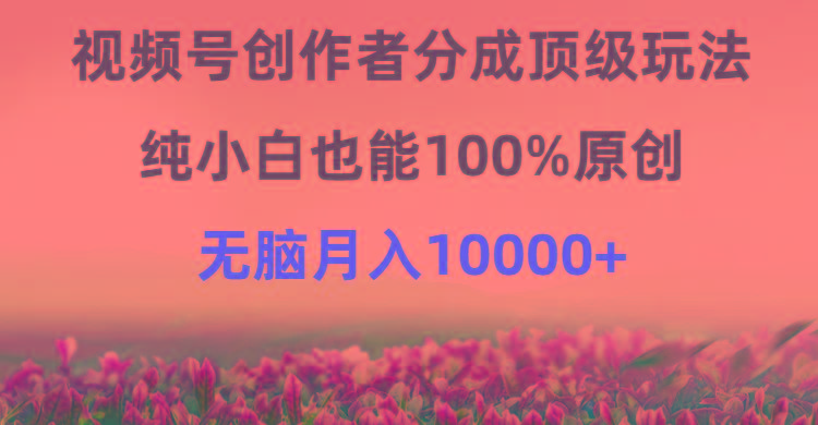 (9608期)视频号创作者分成顶级玩法，纯小白也能100%原创，无脑月入10000+-E网资源