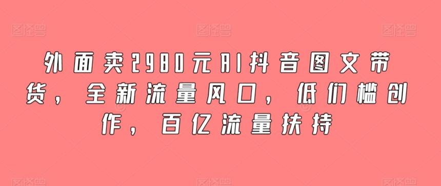 外面卖2980元AI抖音图文带货，全新流量风口，低们槛创作，百亿流量扶持-E网资源