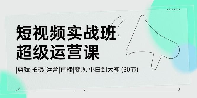 短视频实战班超级运营课 |剪辑|拍摄|运营|直播|变现 小白到大神 (30节)-E网资源