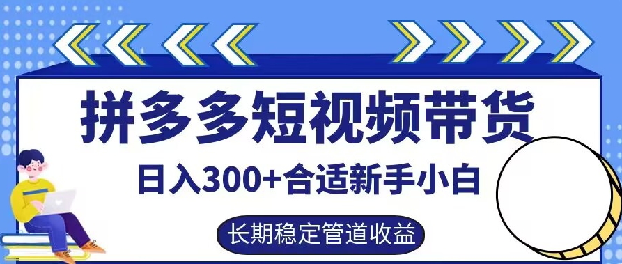 拼多多短视频带货日入300+有长期稳定被动收益，合适新手小白【揭秘】-E网资源