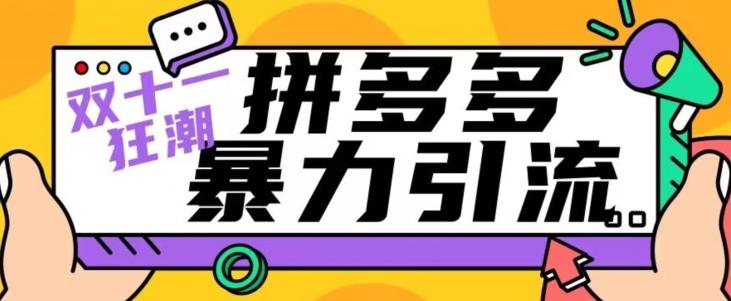 【首发】双十一拼多多暴力引流，日引300+微信-E网资源