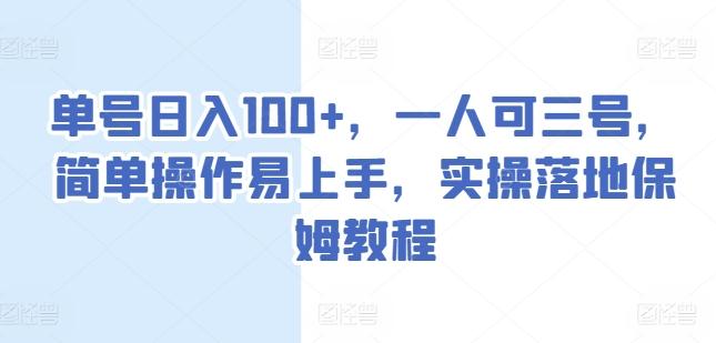 单号日入100+，一人可三号，简单操作易上手，实操落地保姆教程【揭秘】-E网资源