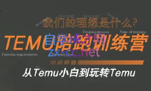 苗苗·拼多多跨境（temu）课程-E网资源