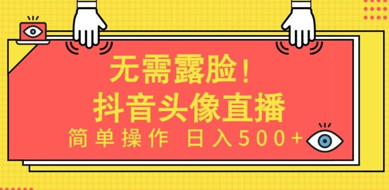 无需露脸，Ai头像直播项目，简单操作日入500+【揭秘】-E网资源