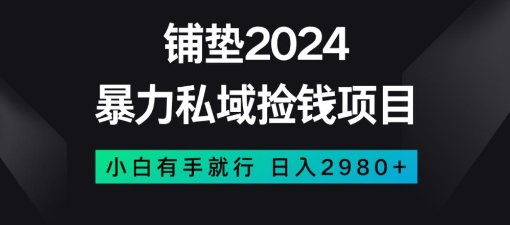 暴力私域捡钱项目，小白无脑操作，日入2980【揭秘】-E网资源