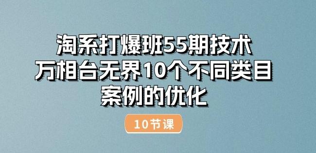 淘系打爆班55期技术：万相台无界10个不同类目案例的优化(10节)-E网资源
