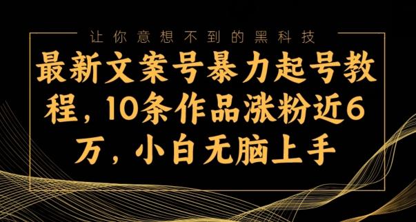 最新文案号暴力起号教程，10条作品涨粉近6万，小白无脑上手-E网资源