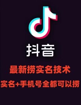 最新技术抖音捞实名+捞手机号技术，抖音直播封禁释放十名/手机号，直接替换出来!-E网资源