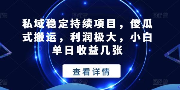 私域稳定持续项目，傻瓜式搬运，利润极大，小白单日收益几张【揭秘】-E网资源