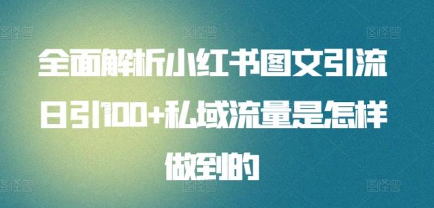 全面解析小红书图文引流日引100+私域流量是怎样做到的【揭秘】-E网资源