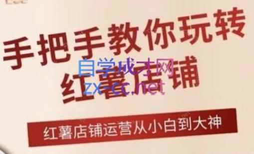 海燕老师·2024手把手教你玩转红薯店铺-E网资源