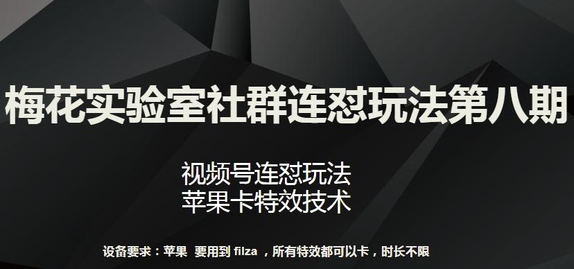 梅花实验室社群连怼玩法第八期，视频号连怼玩法 苹果卡特效技术【揭秘】-E网资源
