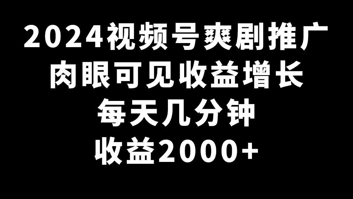 2024视频号爽剧推广，肉眼可见的收益增长，每天几分钟收益2000+-E网资源