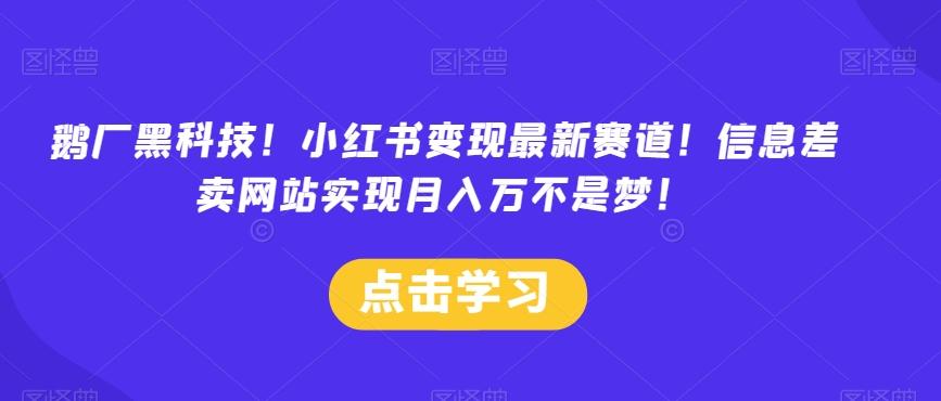 鹅厂黑科技！小红书变现最新赛道！信息差卖网站实现月入万不是梦！-E网资源