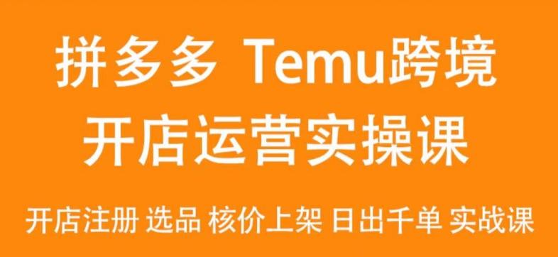 2024Temu最新玩法，Temu跨境开店运营实操课，开店注册/选品/核价上架/日出千单实战课-E网资源