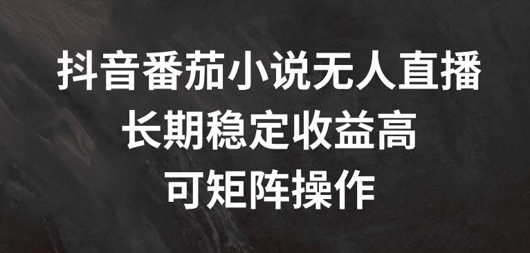 抖音番茄小说无人直播，长期稳定收益高，可矩阵操作【揭秘】-E网资源