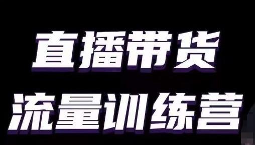 直播带货流量训练营，小白主播必学直播课-E网资源