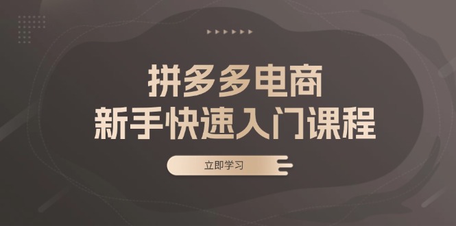拼多多电商新手快速入门课程：涵盖基础、实战与选款，助力小白轻松上手-E网资源
