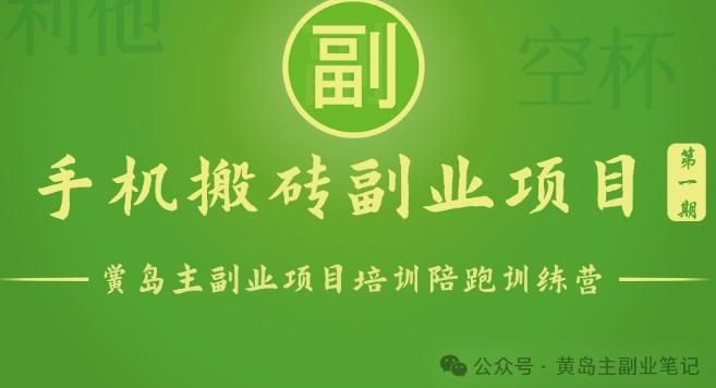 手机搬砖小副业项目训练营1.0，实测1小时收益50+，一部手机轻松日入100+-E网资源