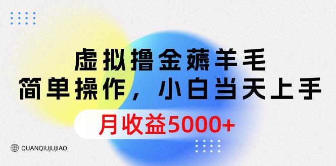 (9864期)虚拟撸金薅羊毛，简单操作，小白当天上手，月收益5000+-E网资源