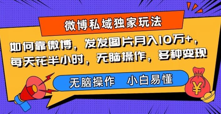 如何靠微博，发发图片月入10万+，‌每天花半小时，无脑操作，多种变现-E网资源