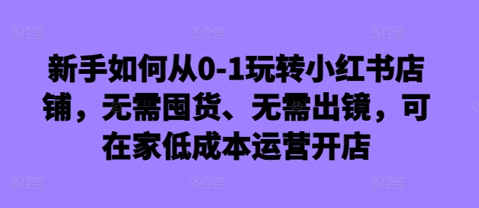 新手如何从0-1玩转小红书店铺，无需囤货、无需出镜，可在家低成本运营开店-E网资源