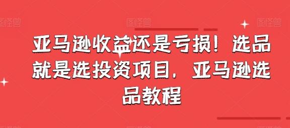 亚马逊收益还是亏损！选品就是选投资项目，亚马逊选品教程-E网资源