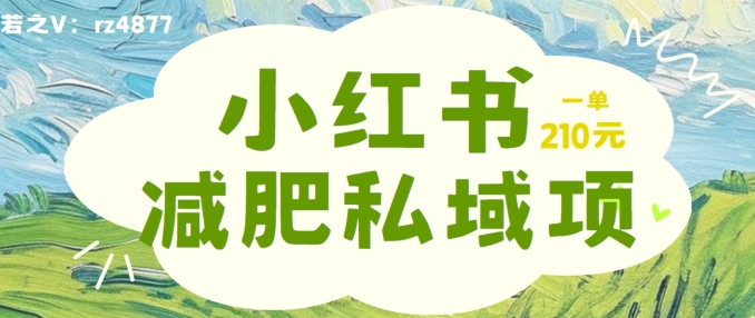 小红书减肥粉，私域变现项目，一单就达210元，小白也能轻松上手【揭秘】-E网资源