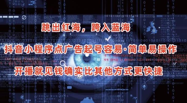 抖音小程序点广告项目，起号容易，简单易操作，开播就见有收益【揭秘】-E网资源
