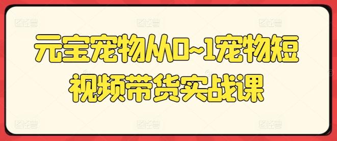 元宝宠物从0~1宠物短视频带货实战课-E网资源