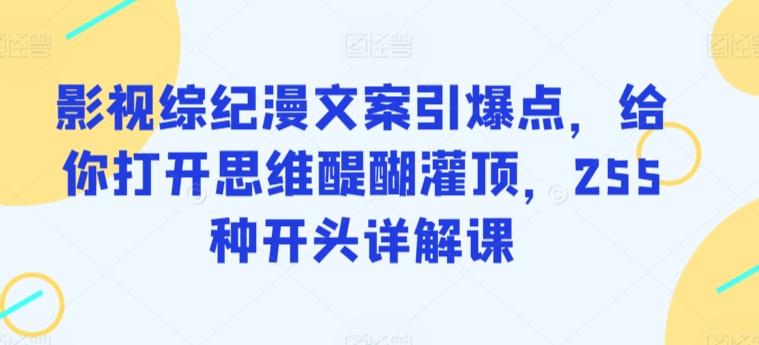 影视综纪漫文案引爆点，给你打开思维醍醐灌顶，255种开头详解课-E网资源