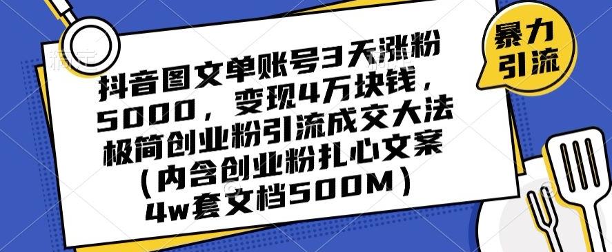 抖音图文单账号3天涨粉5000，变现4万块钱，极简创业粉引流成交大法-E网资源