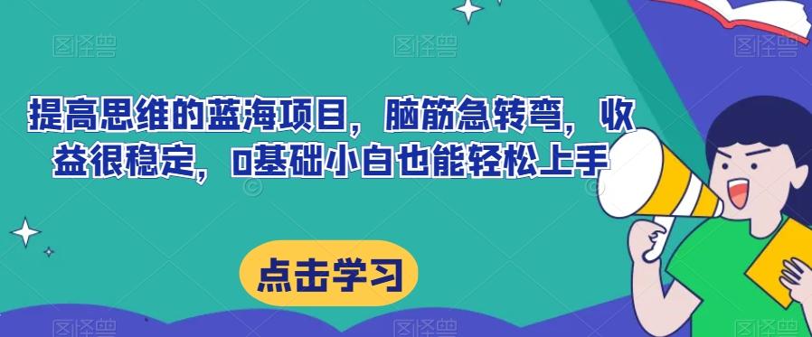 提高思维的蓝海项目，脑筋急转弯，收益很稳定，0基础小白也能轻松上手-E网资源