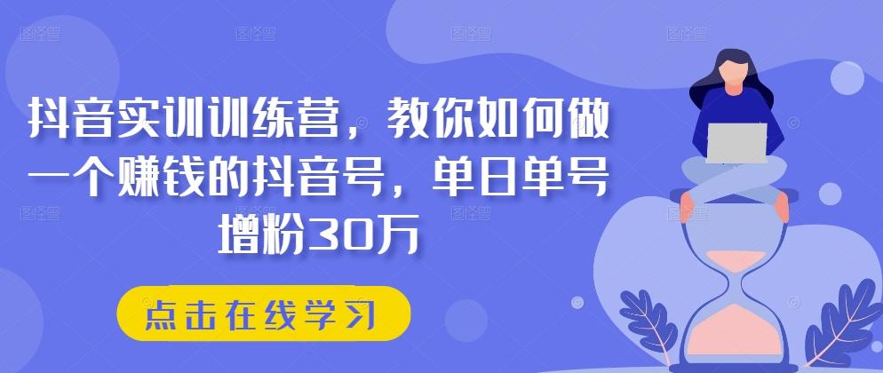 抖音实训训练营，教你如何做一个赚钱的抖音号，单日单号增粉30万-E网资源