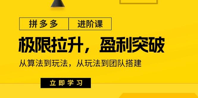 拼多多·进阶课：极限拉升/盈利突破：从算法到玩法 从玩法到团队搭建-18节-E网资源