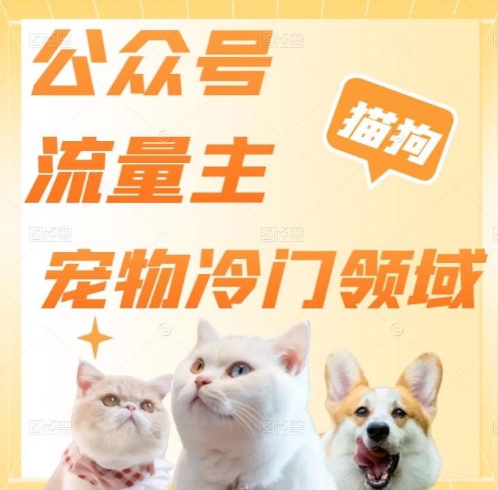 公众号流量主，萌宠冷门领域，单日收益2000+，简单暴力掘金，矩阵操作，无限放大收益！-E网资源