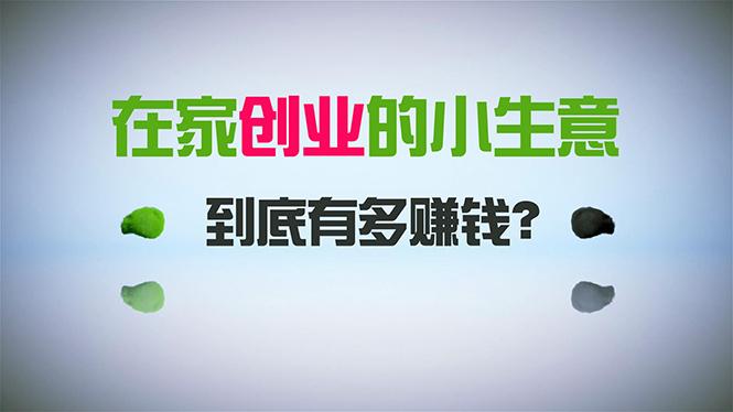 在家创业，日引300+创业粉，一年收入30万，闷声发财的小生意，比打工强-E网资源