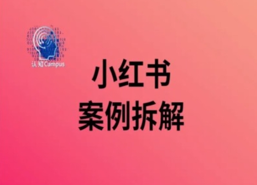 小红书案例拆解，深度解读小红书40万粉-E网资源