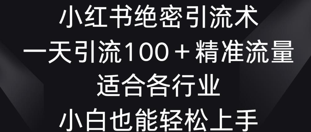 小红书绝密引流术，一天引流100+精准流量，适合各个行业，小白也能轻松上手【揭秘】-E网资源