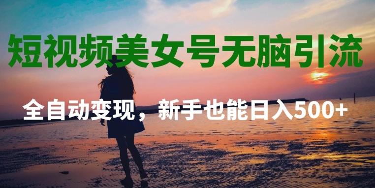 短视频美女号无脑引流，全自动变现，新手也能日入500+-E网资源