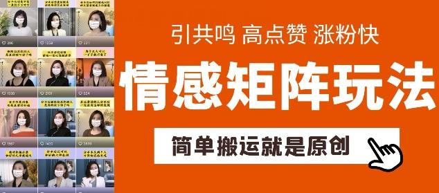 简单搬运，情感矩阵玩法，涨粉速度快，可带货，可起号【揭秘】-E网资源