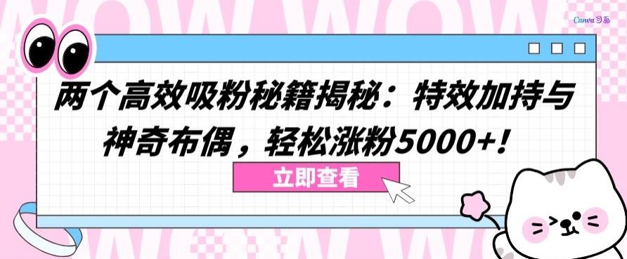 两个高效吸粉秘籍揭秘：特效加持与神奇布偶，轻松涨粉5000+【揭秘】-E网资源