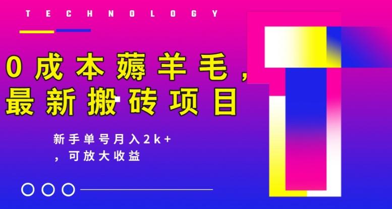0成本薅羊毛，最新搬砖项目，新手单号月入2k+，可放大操作-E网资源
