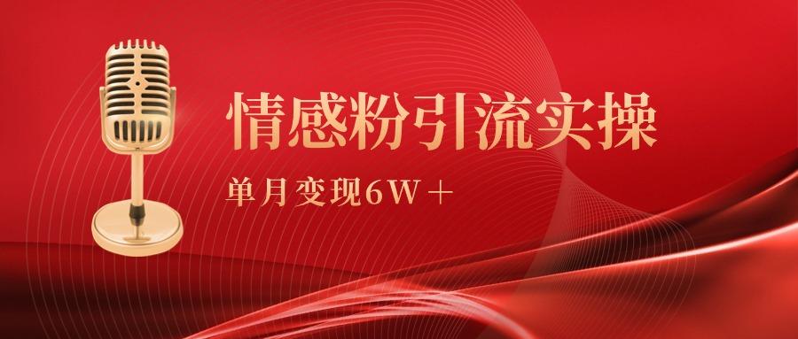 (9473期)单月变现6w+，情感粉引流变现实操课-E网资源