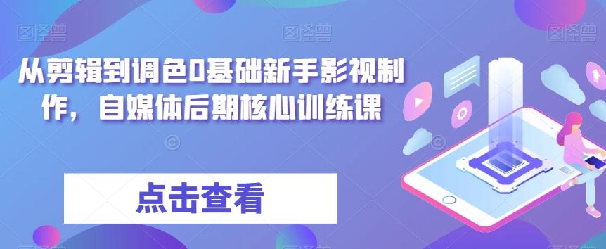 从剪辑到调色0基础新手影视制作，自媒体后期核心训练课-E网资源