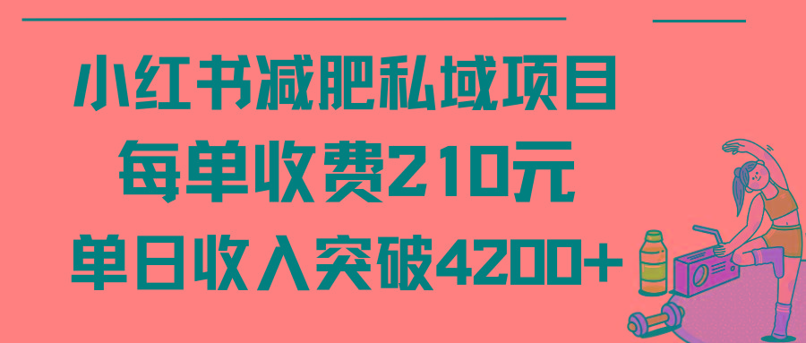 (9466期)小红书减肥私域项目每单收费210元单日成交20单，最高日入4200+-E网资源