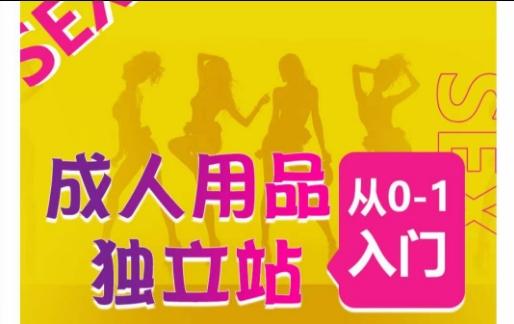 成人用品独立站从0-1入门，成品独立站运营全流程教学，七大好卖成品独立站推荐-E网资源